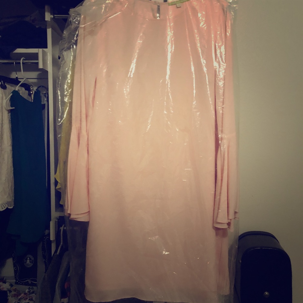 Gianni Bini Blush Pink Dress
